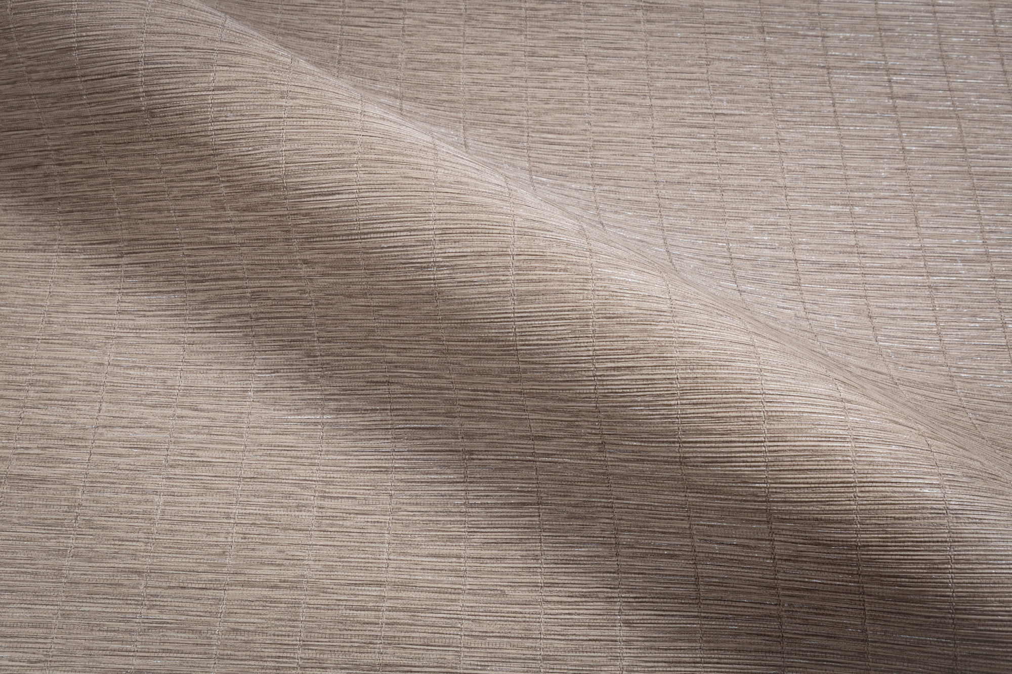 CAT_MACRO_PHOTOhI_TC72457-48_(4)