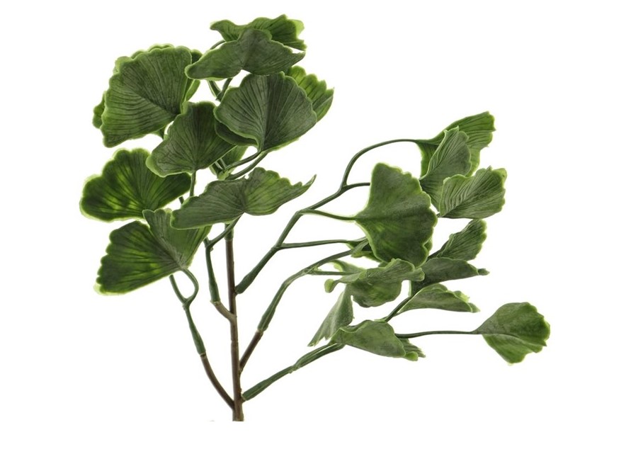 b15065c3-e098-11eb-80fb-000c2973c28c_01