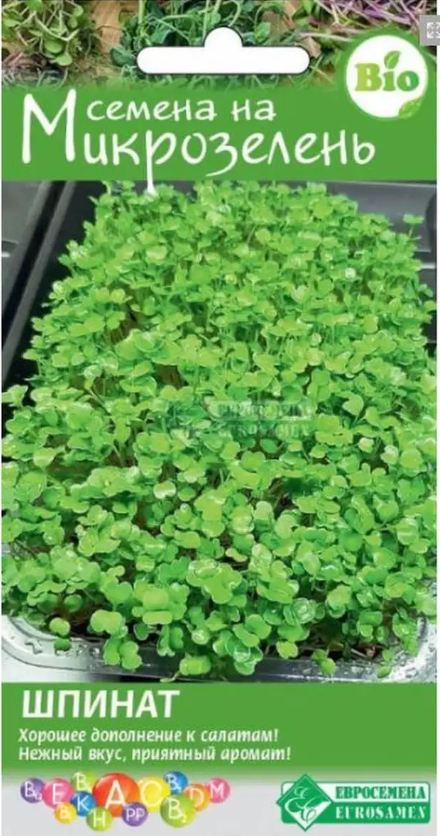 семена_микрозелень_шпинат_5гр_евросемена_1.jpg