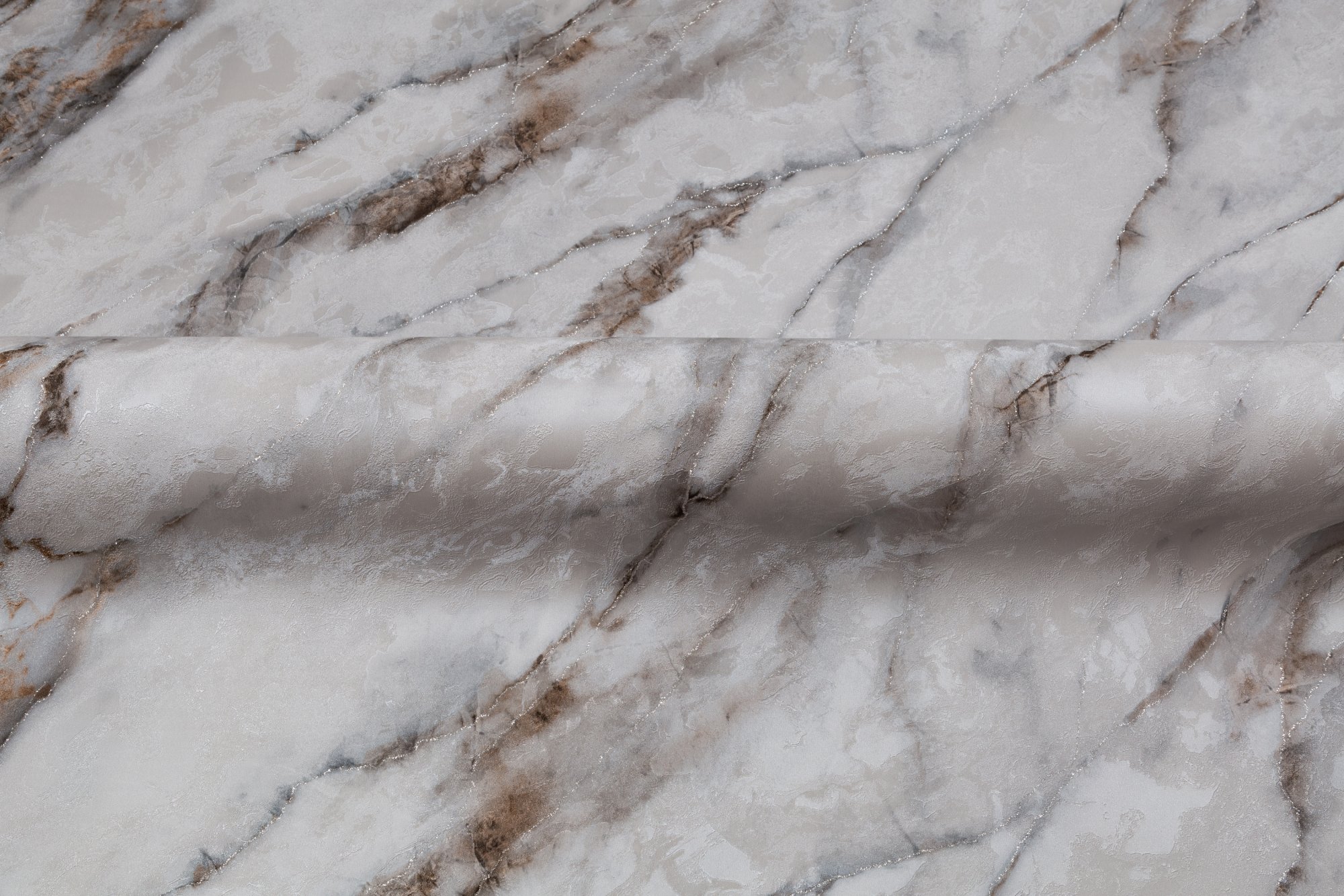 CAT_MACRO_PHOTOtI_HC72319-42_(4)