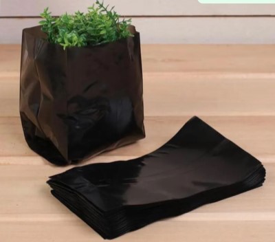 WhatsApp Image 2024-01-16 at 15.05.31