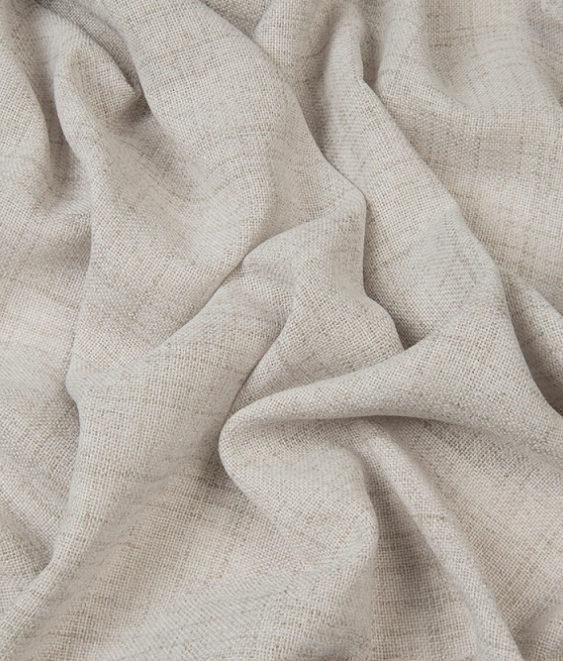 Снимок экрана_20-2-2025_152925_roscha.net