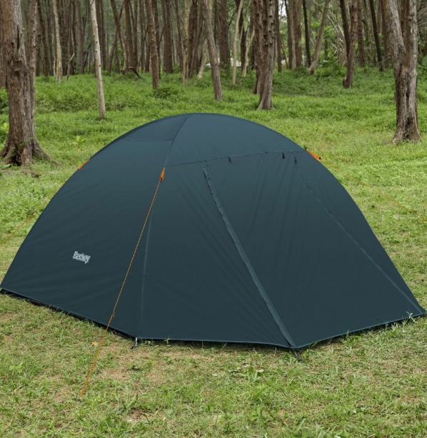 Снимок экрана_3-4-2025_143550_yandex.ru