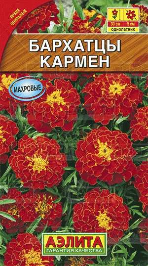 a54b31121661df6d7da83ac305091486