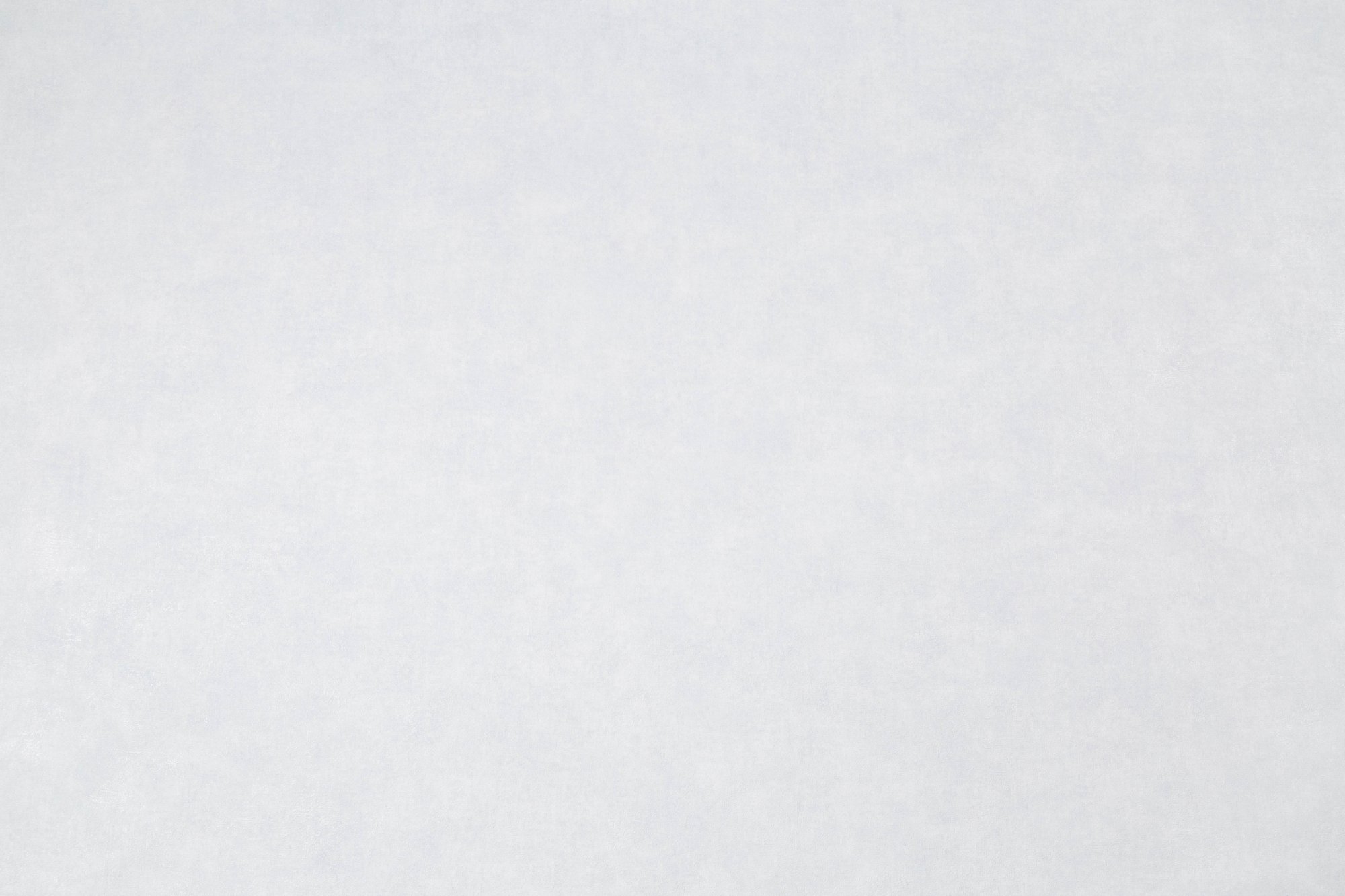 CAT_MACRO_PHOTOwi_HC72317-14_(1)