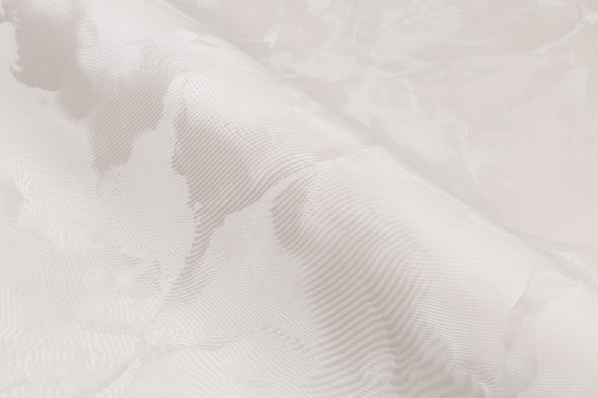 CAT_MACRO_PHOTOoI_HC72371-22_(4)