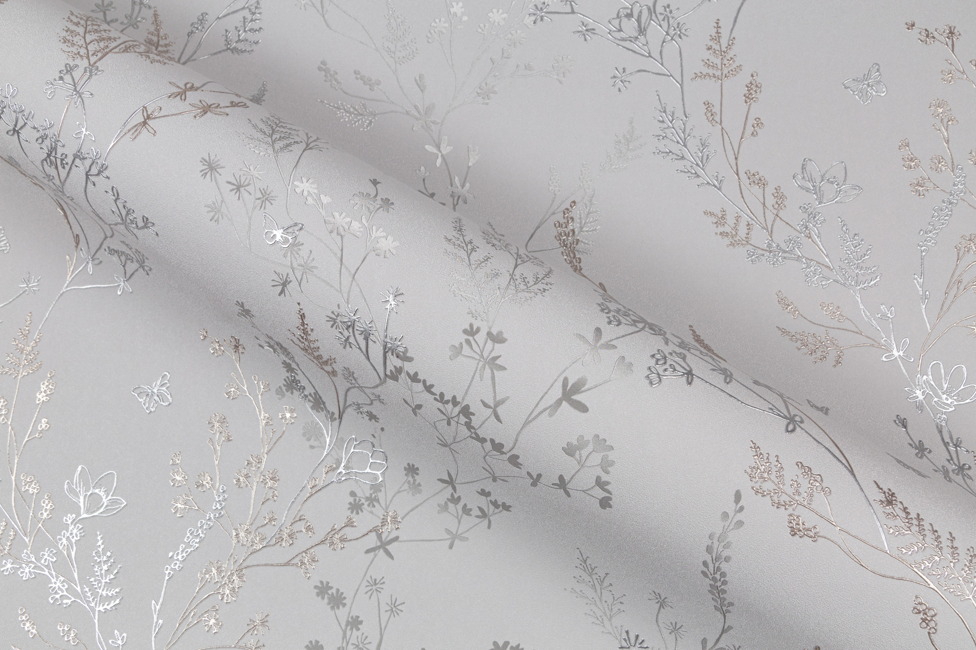 CAT_MACRO_PHOTOjI_HC72414-47_(6)