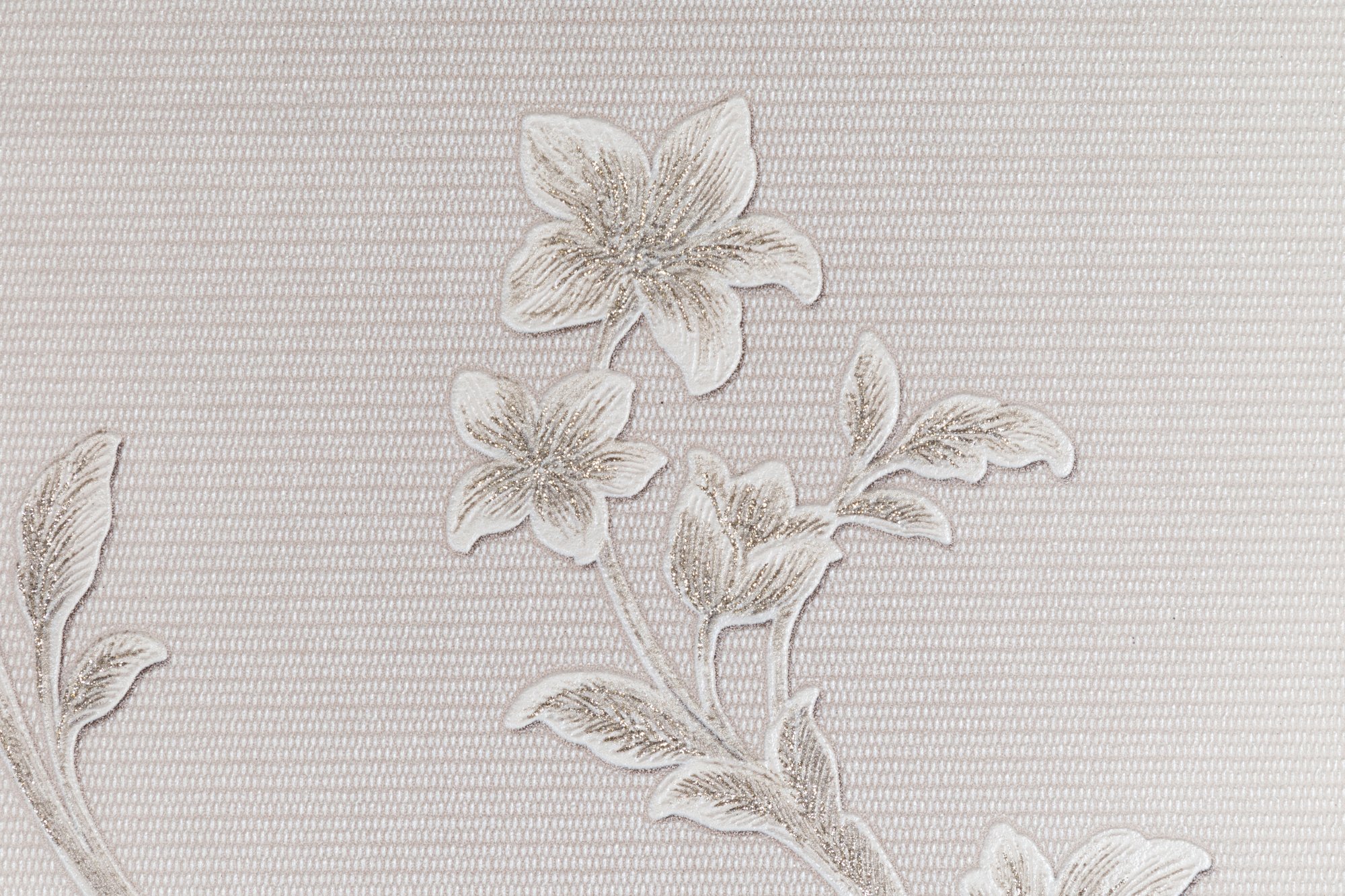 CAT_MACRO_PHOTOgI_HC31235-21_(3)