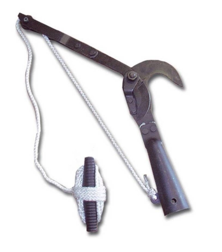 Снимок экрана 2026-04-07 080837