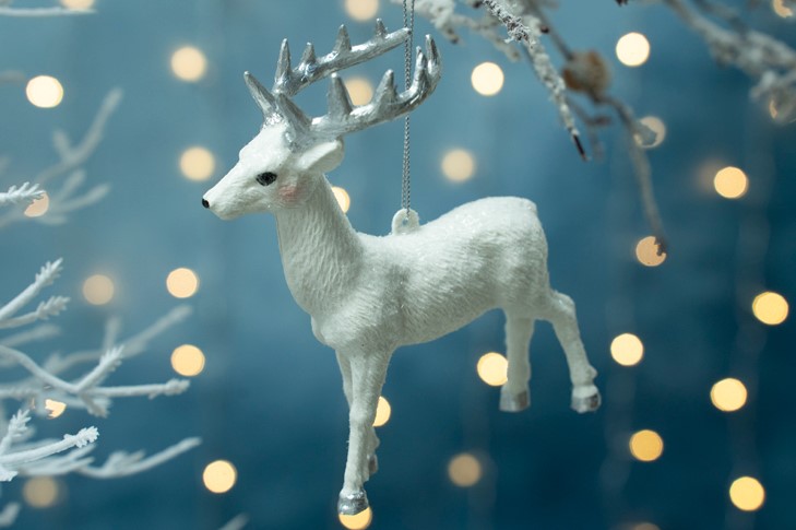 Снимок экрана 2023-11-10 084318