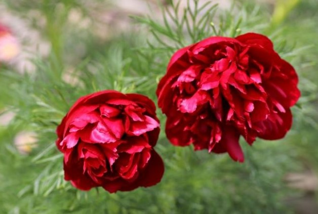 Снимок экрана 2026-04-22 111854