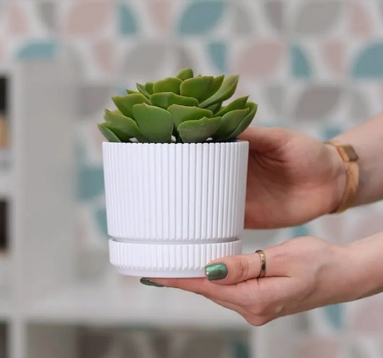 Снимок экрана_13-5-2025_8344_www.wildberries.ru