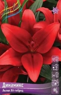 Снимок экрана 2024-03-05 115215