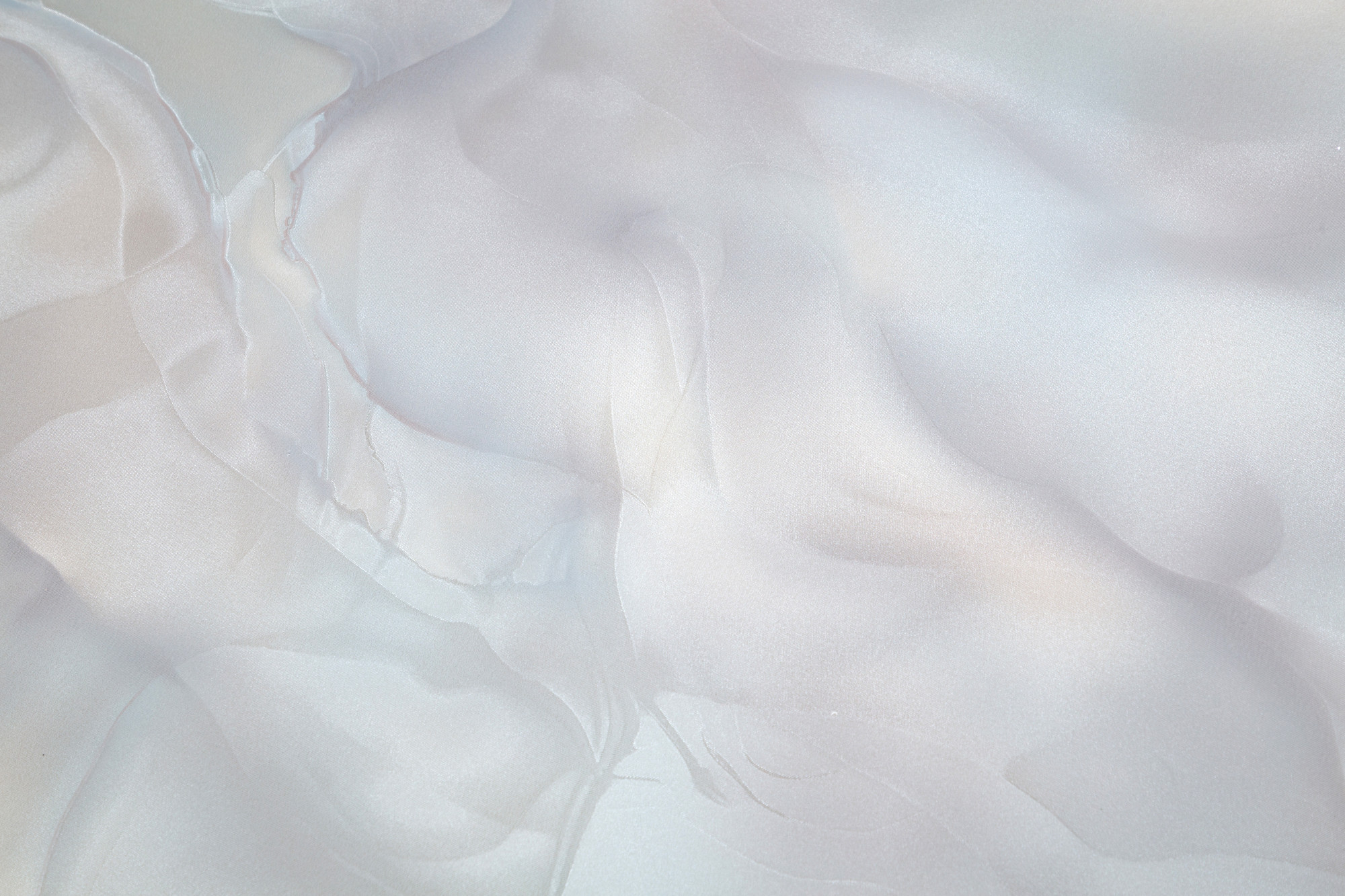 CAT_MACRO_PHOTOoI_HC72452-28_(2)