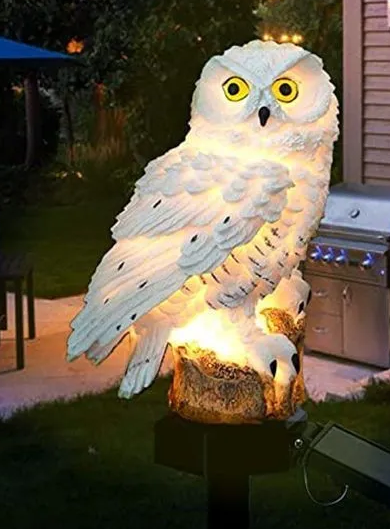 Снимок экрана 2025-06-03 161649