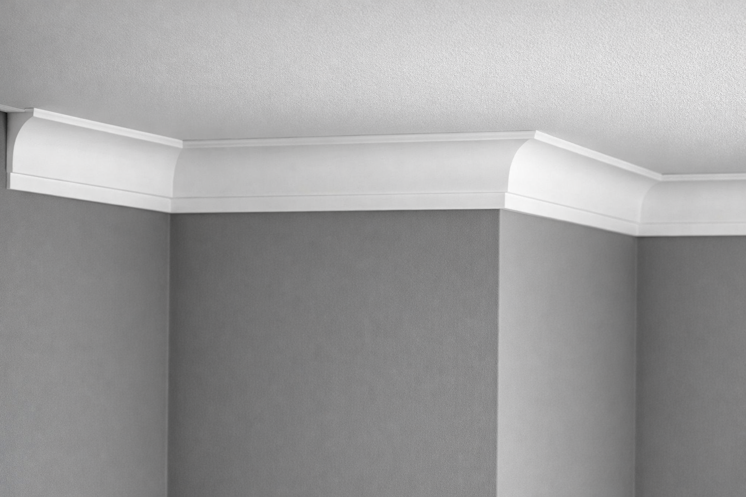 ChatGPT Image 25 февр. 2026 г., 10_39_42