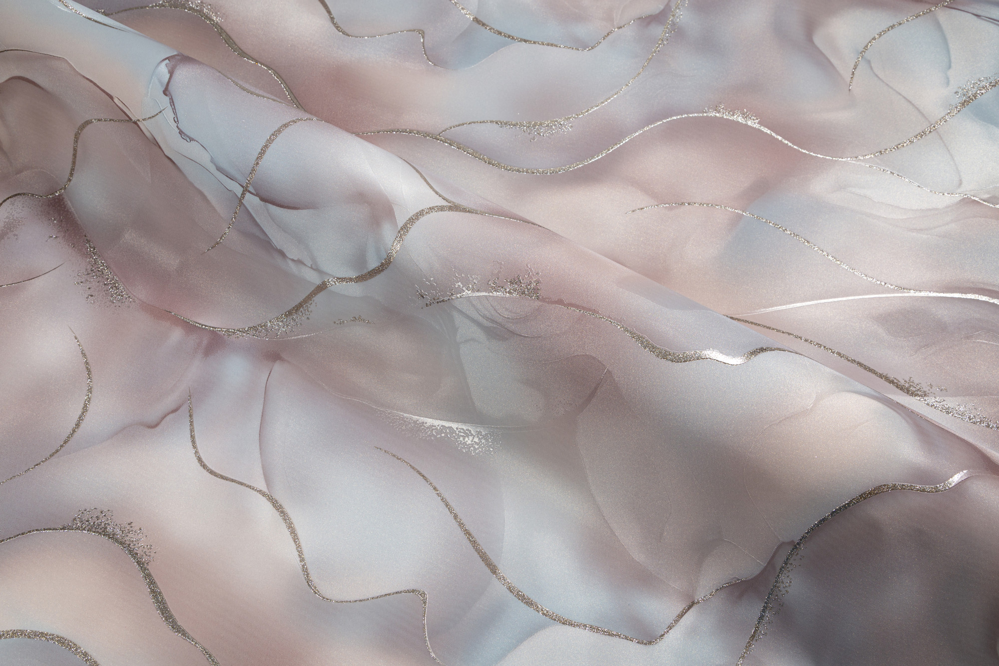 CAT_MACRO_PHOTOkI_HC72451-28_(6)