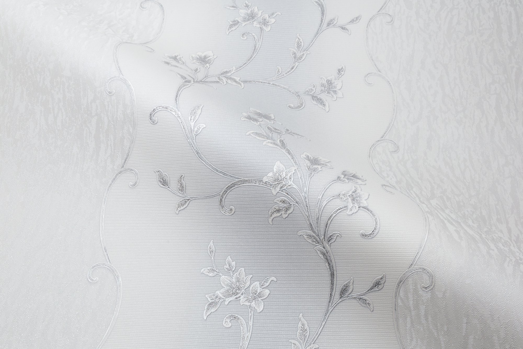 CAT_MACRO_PHOTOxI_HC31235-14_(5)