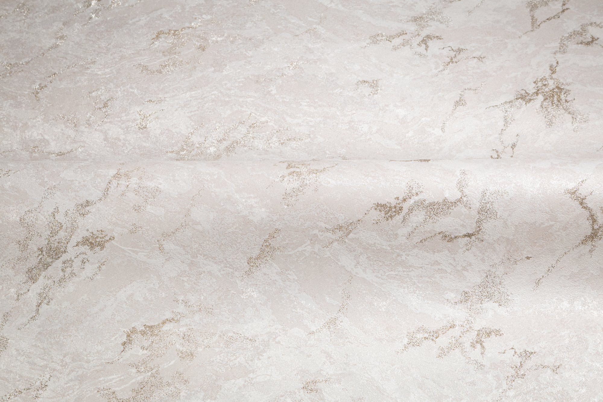 CAT_MACRO_PHOTOfI_HC72438-27_(3)