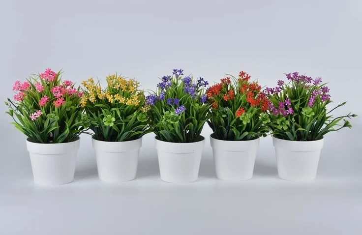 Снимок экрана_24-5-2025_83814_yandex.ru