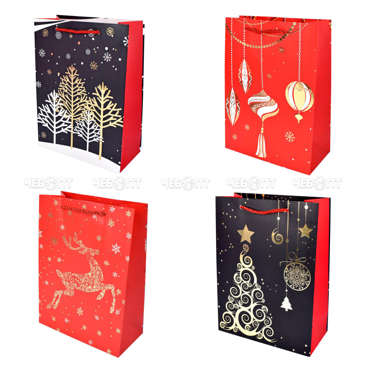 photo_2024-08-12_09-30-03_1