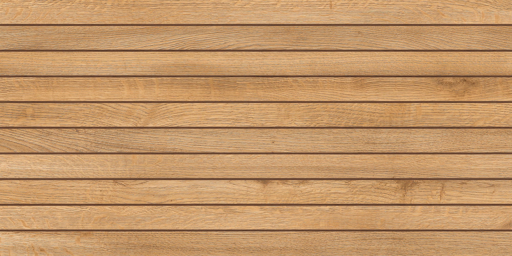 ohm8x61w9araotv6ndjps2lotfc3xnj4