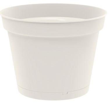 WhatsApp Image 2024-01-16 at 15.05.31