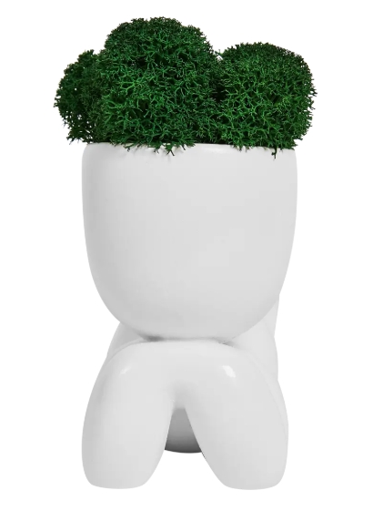 Снимок экрана_11-2-2025_15052_lemanapro.ru