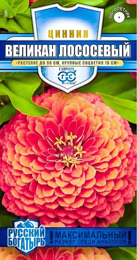 семена_цинния_великан_лососевый_0_3гр_гавриш_русский_богатырь_1.jpg