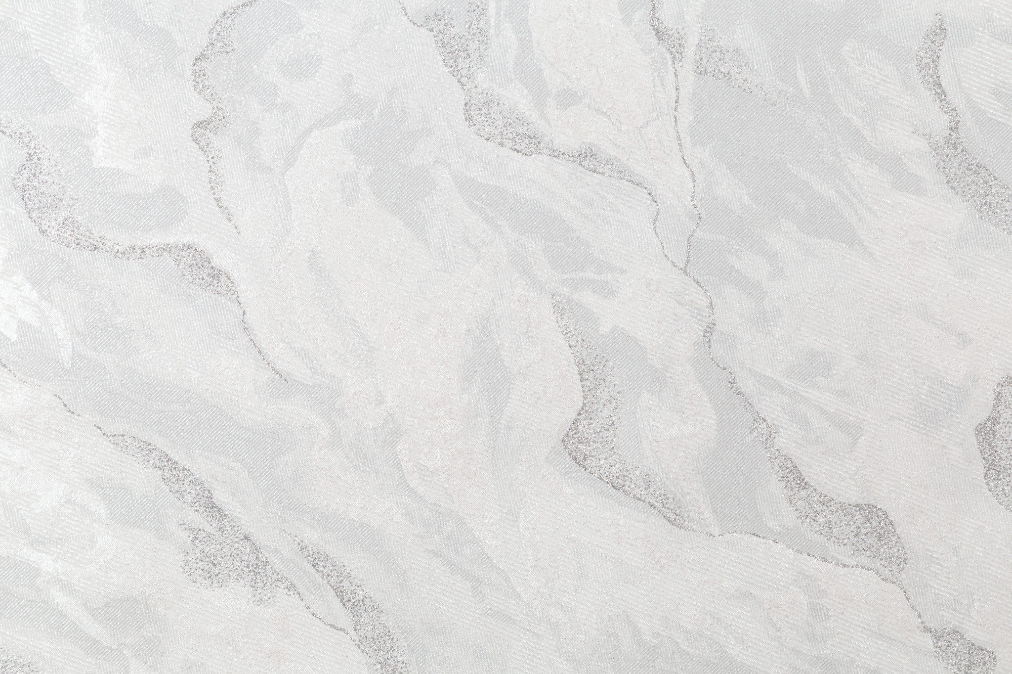 CAT_MACRO_PHOTOqI_HC72428-14_(2)