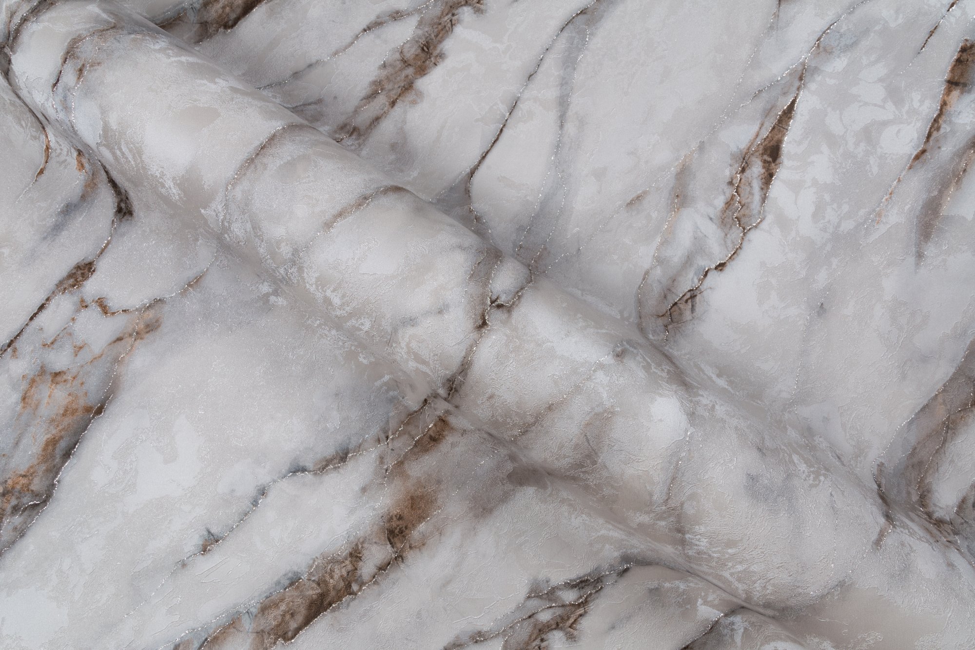 CAT_MACRO_PHOTOeI_HC72319-42_(5)