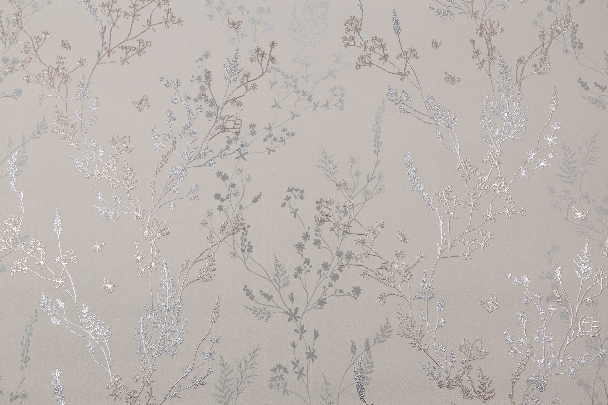 CAT_MACRO_PHOTOhI_HC72414-20_(1)