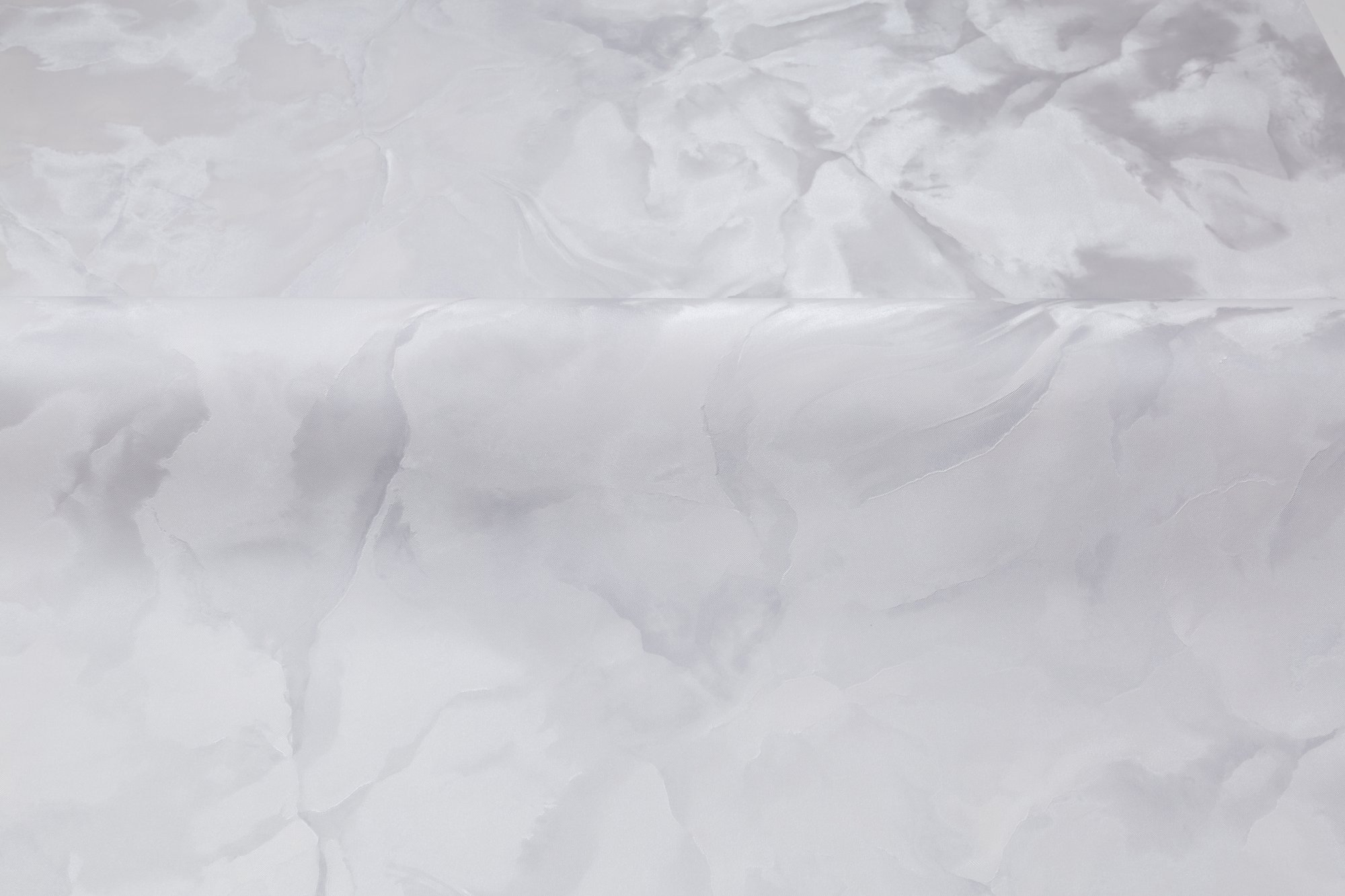 CAT_MACRO_PHOTOlI_HC72371-42_(3)