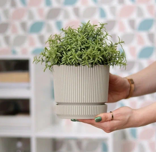 Снимок экрана_13-5-2025_85610_yandex.ru