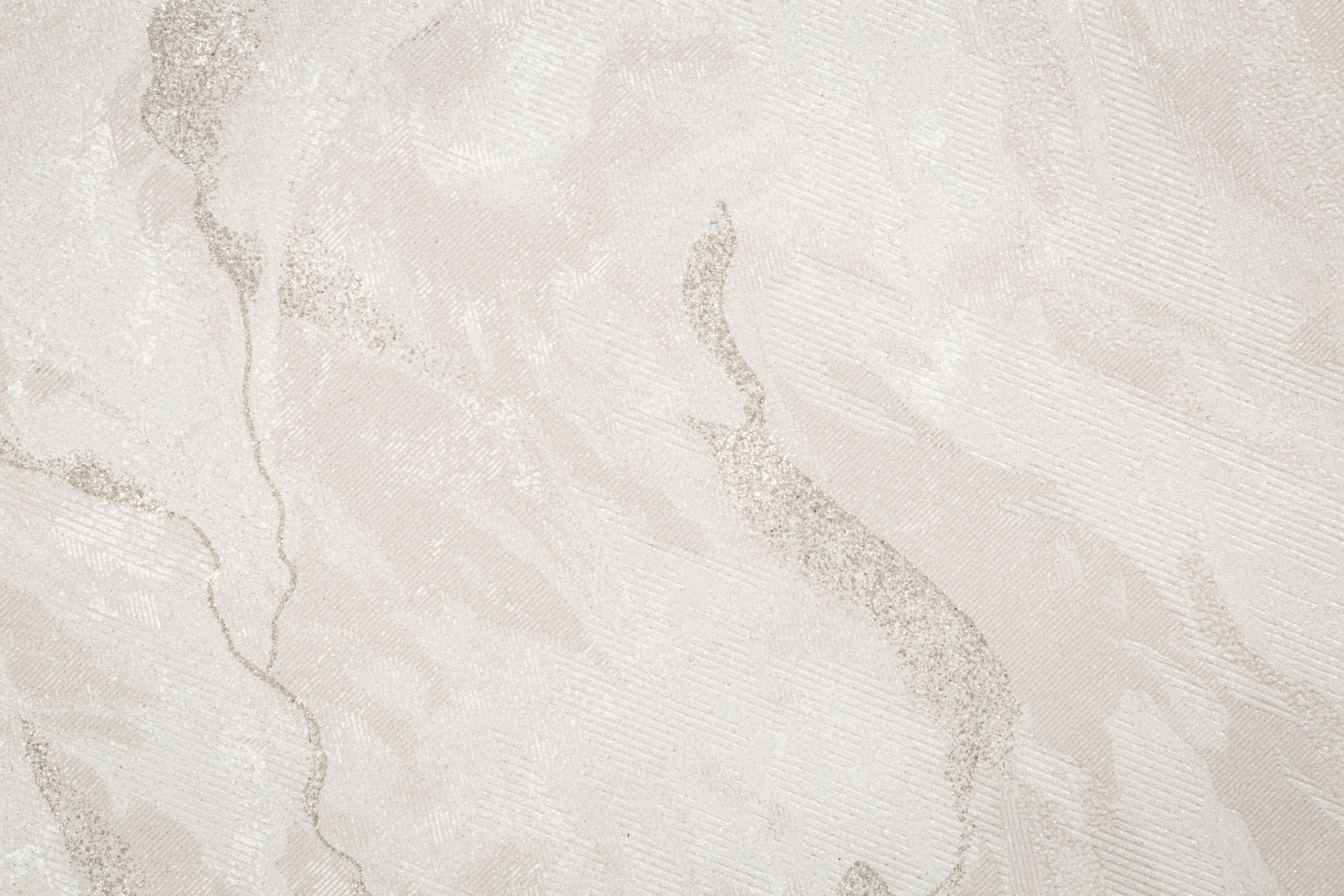 CAT_MACRO_PHOTOcI_HC72428-21_(3)