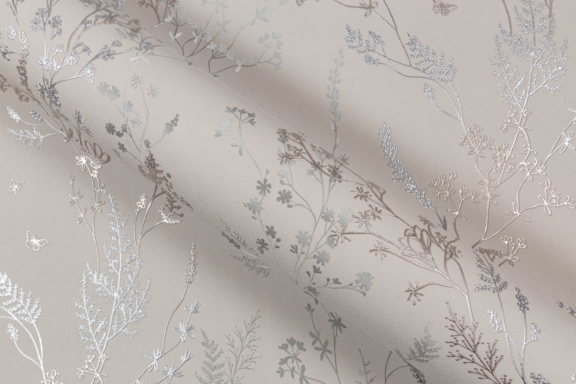 CAT_MACRO_PHOTObI_HC72414-20_(6)