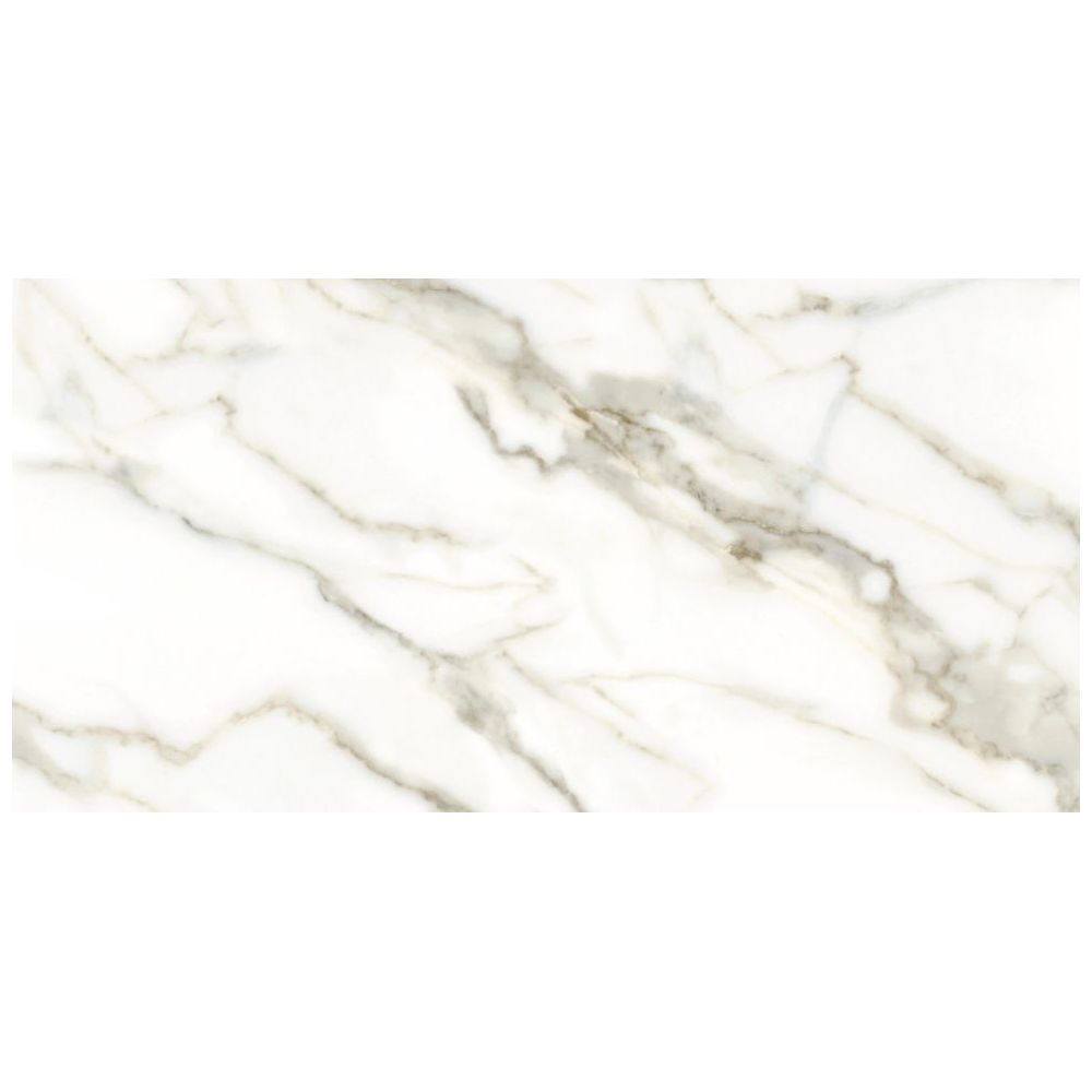 carrara-white-60x120-1000x1000