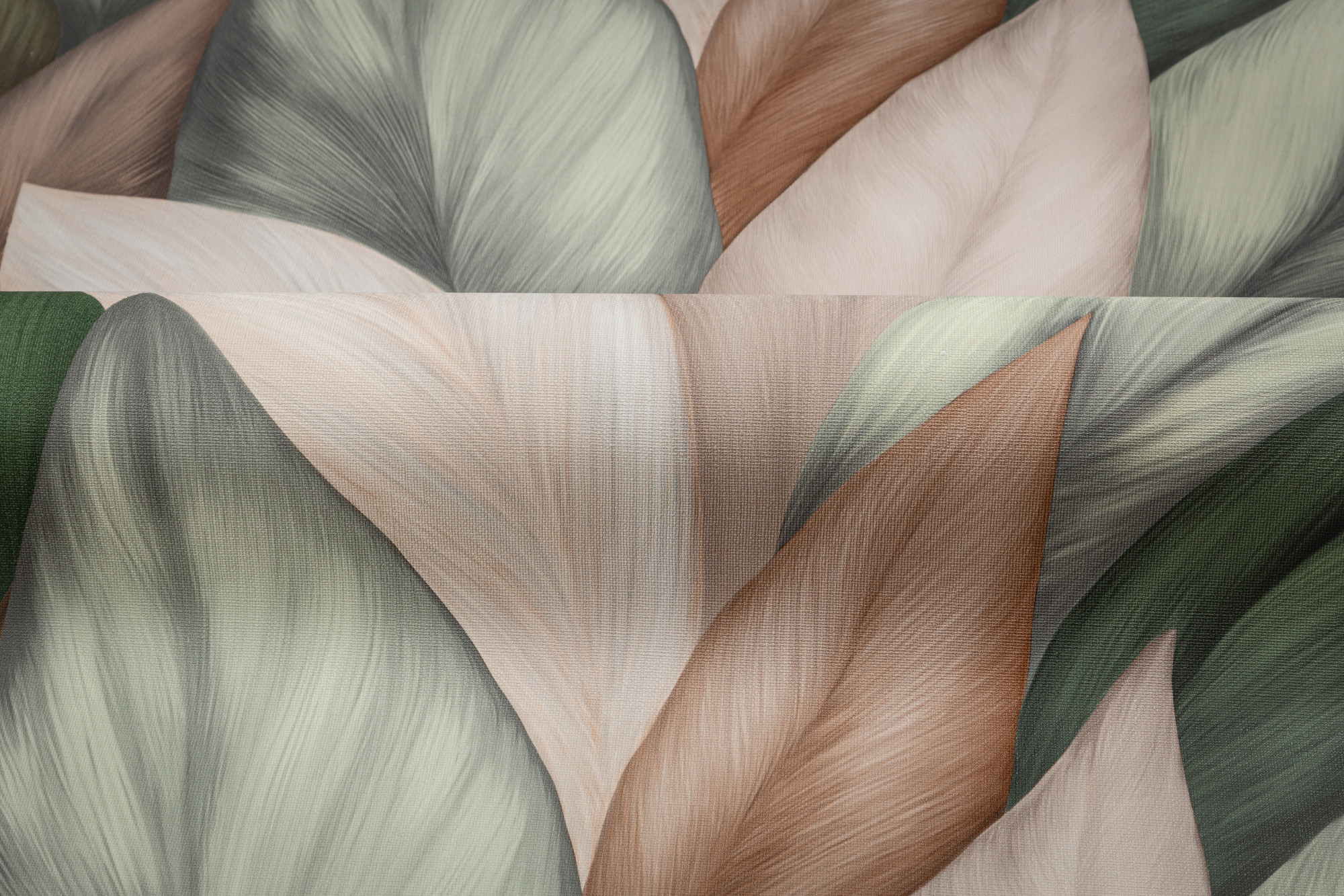 CAT_MACRO_PHOTOjI_TC72480-72_(3)