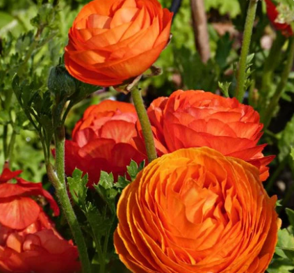 Снимок экрана 2025-02-07 092132