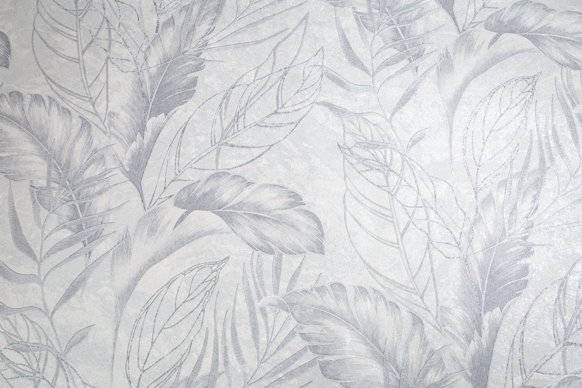 CAT_MACRO_PHOTOzI_HC72437-14_(1)