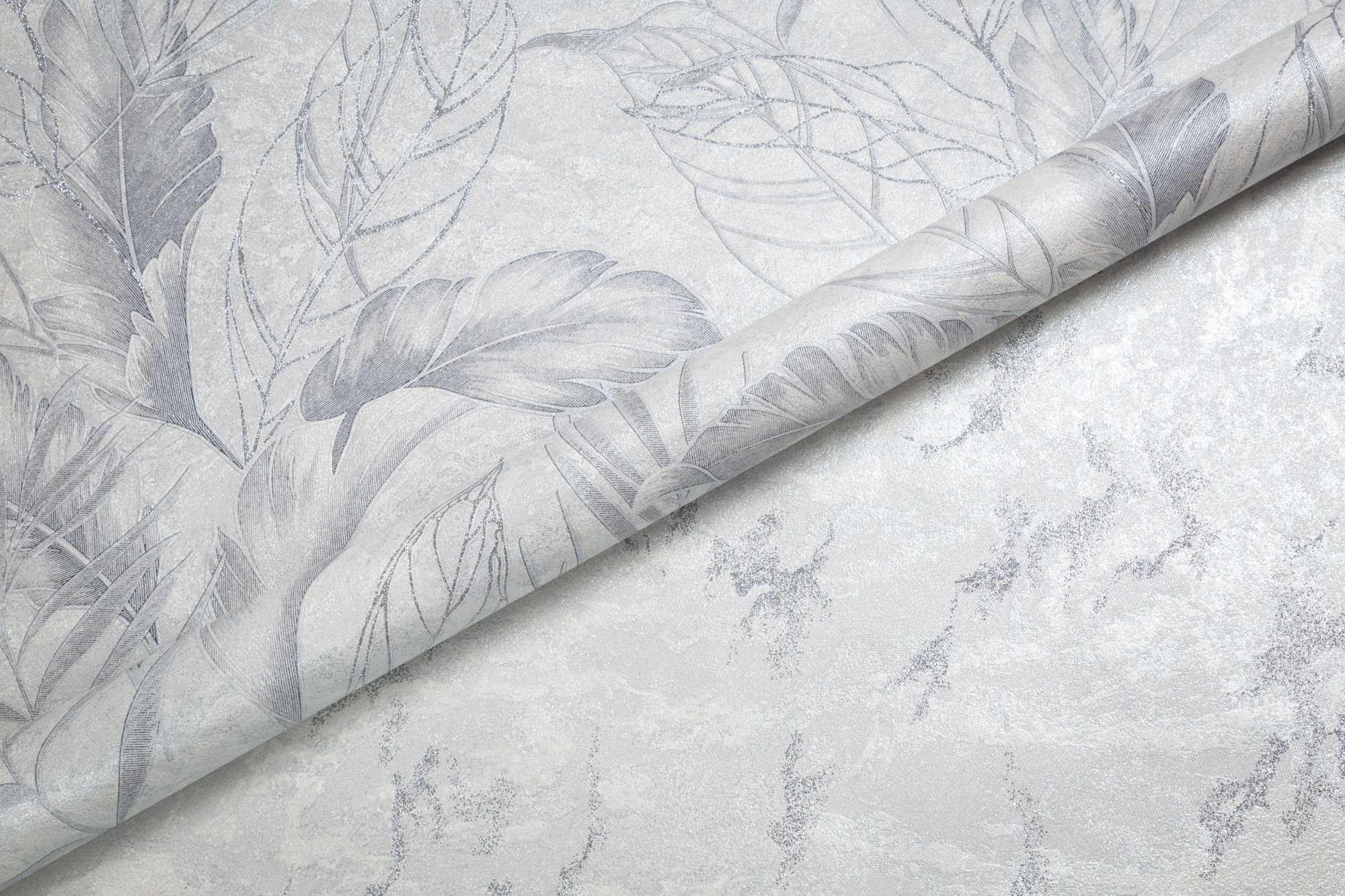 CAT_MACRO_PHOTOkI_HC72437-14uHC72438-14_(3)