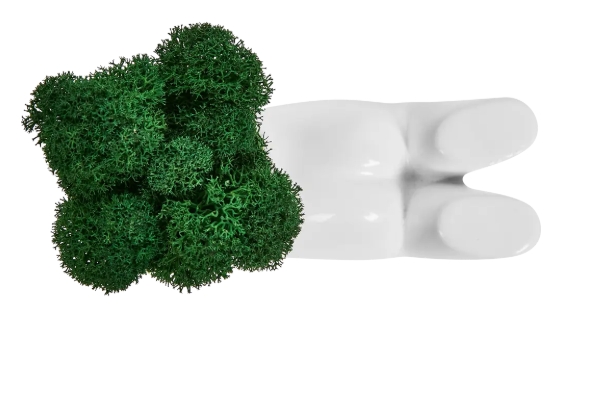 Снимок экрана_11-2-2025_1515_lemanapro.ru