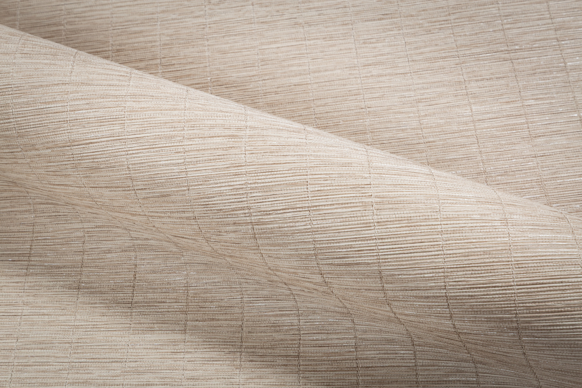 CAT_MACRO_PHOTOyI_TC72457-22_(4)