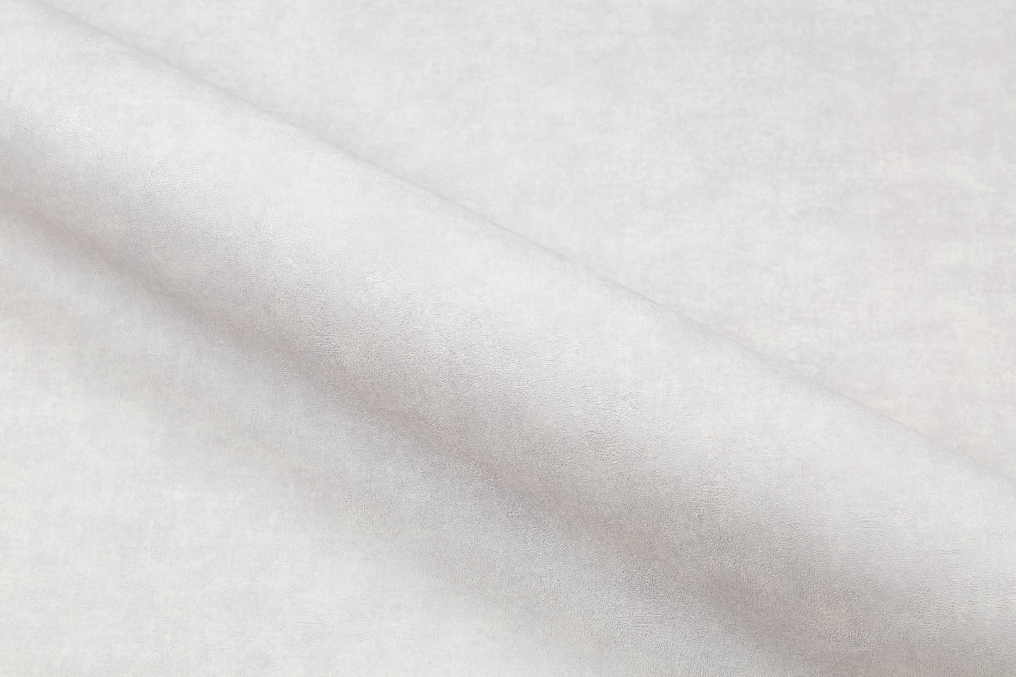 CAT_MACRO_PHOTOki_HC72317-24_(4)