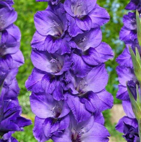 Снимок экрана 2025-02-18 091048