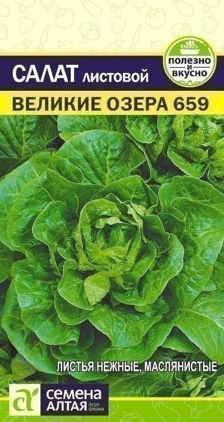 семена_салат_великие_озера_659_0_5гр_семена_алтая_1.jpg