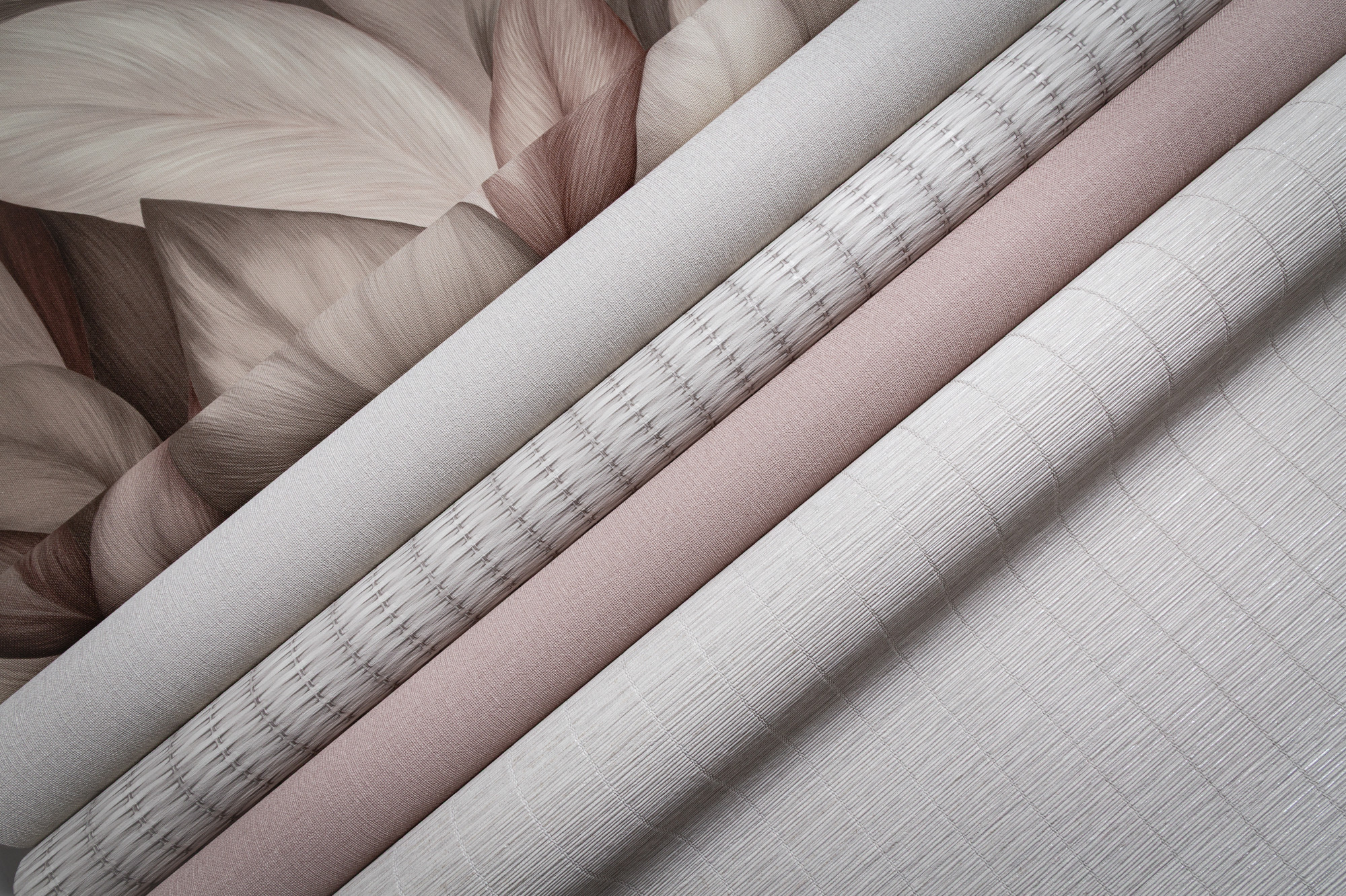 CAT_MACRO_PHOTOdI_TC72480-82zTC72460-52pTC72460-14jTC72457-14dTC72456-14_(2)