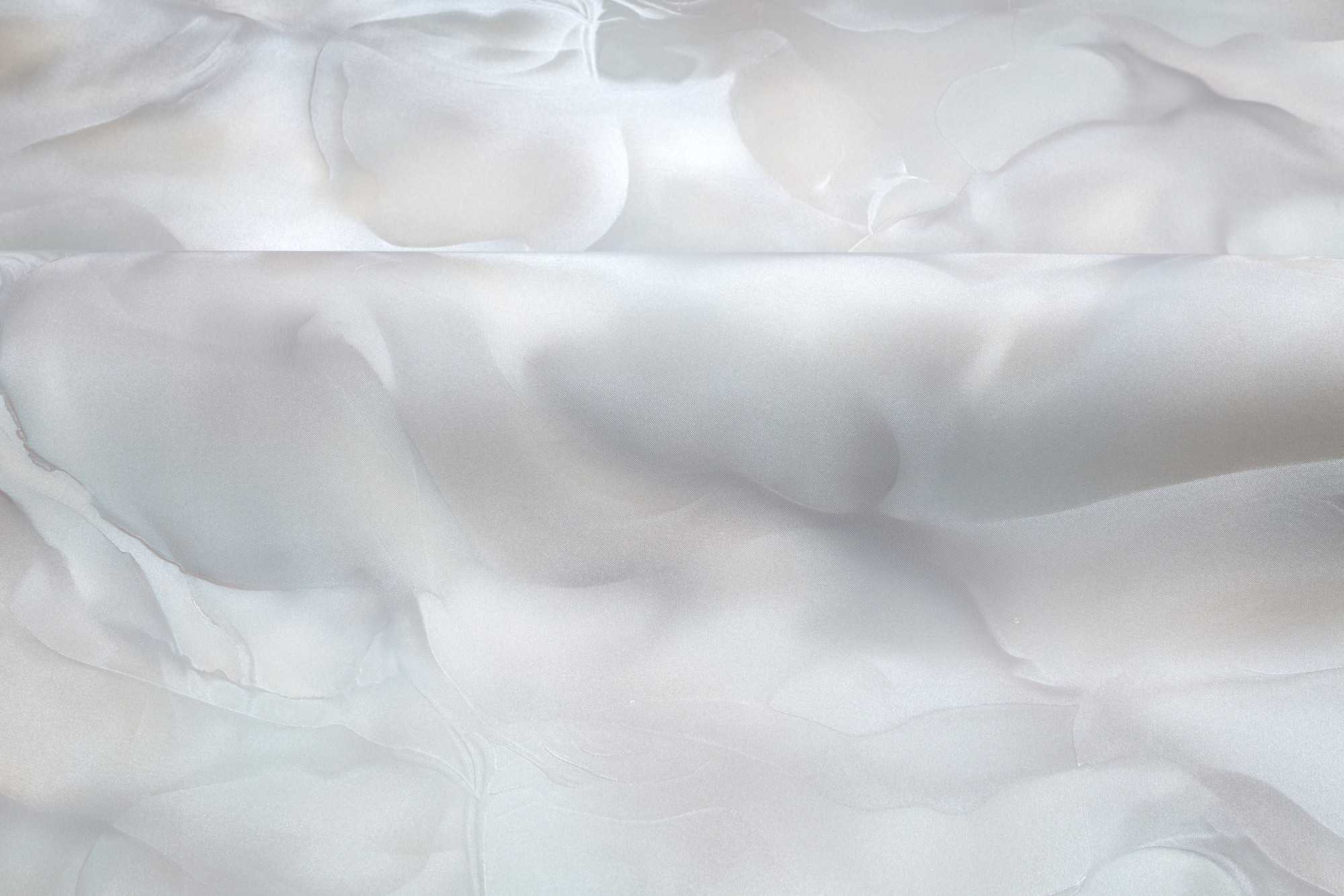 CAT_MACRO_PHOTOmI_HC72452-28_(4)