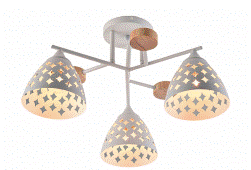 Снимок экрана 2025-12-24 094616