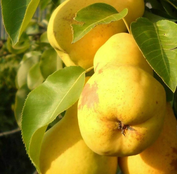 Снимок экрана 2025-04-14 084016